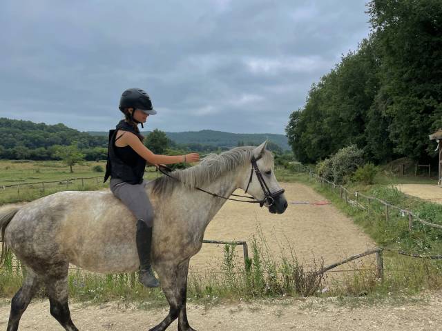 Merrie Franse rijpony PFS Te koop 2018 Schimmel