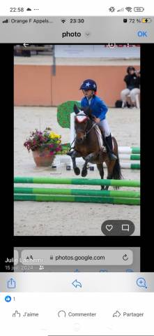 Ruin Ras onbekend Te koop 2016 Donker bruin / bai