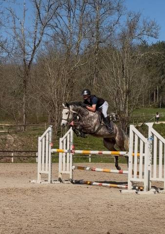 Ruin Franse rijpony PFS Te koop 2019 Schimmel