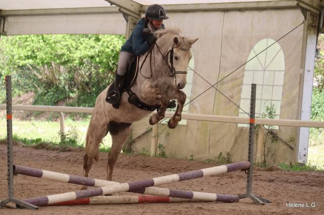 Ruin Connemara Te koop 2022 Schimmel