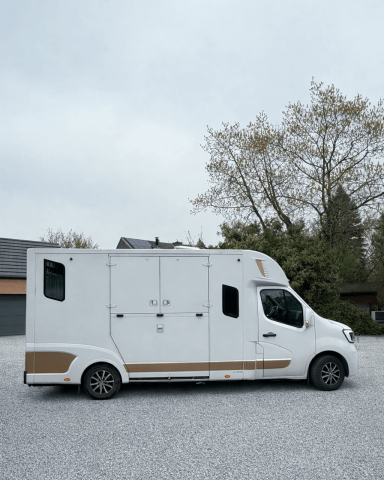 Kleine paardenvrachtwagen (B rijbewijs) Theault THEAULT RENAULT MASTER 2021 Tweedehands