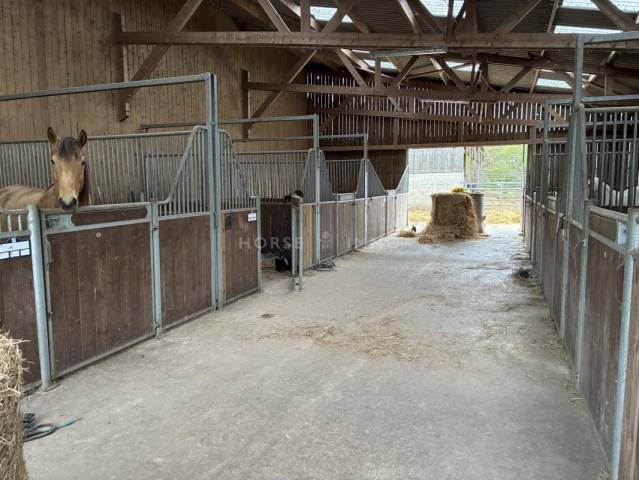 Ruiterclub Koop Morbihan