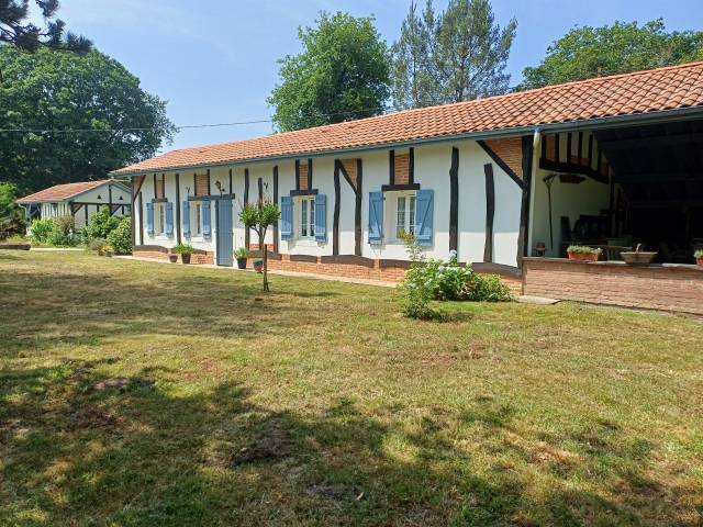 Hippisch vastgoed Koop Landes