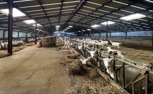 Landbouw bedrijf Koop Vend&eacute;e
