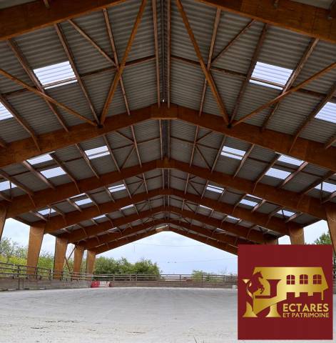 Stoeterij Koop Haute-Garonne