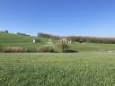 Landbouw bedrijf Koop Lot-et-Garonne