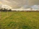Hippisch vastgoed Koop Yvelines