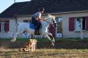 Ruin Ras onbekend Gratis 2008 Schimmel