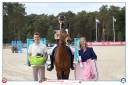 Merrie Franse rijpony PFS Te koop 2012 Donker bruin / bai