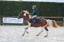 Ruin Ras onbekend Te koop 2006 Bont