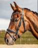 Talentvolle 4‑jarige ruin te koop