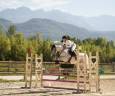 Ruin Franse rijpony PFS Te koop 2016 Schimmel