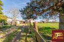 Eigenaren stal Koop Ain