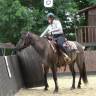 Merrie Quarter Horse Te koop 2020 Muisgrijs ,  JAZ GC DE PLATA
