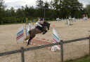 Ruin Welsh Partbred Te koop 2022 Schimmel ,  EFUSIVO X