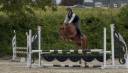Ruin Bekend ras Te koop 2022 Vos ,  Eye Catcher de Lourq