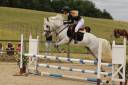 Ruin Connemara Te koop 2015 Schimmel ,  IMPERIAL DU BLIN