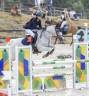 Merrie Franse rijpony PFS Te koop 2014 Schimmel ,  VITO DE BLONDE