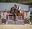 Ruin Franse rijpony PFS Te koop 2020 Donker bruin / bai