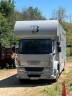 Zware paardenvrachtwagen (groot rijbewijs) Daf living 2008 Tweedehands