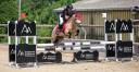 Ruin Franse rijpony PFS Te koop 2017 Isabel