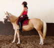 Merrie Welsh Partbred Te koop 2022 Palomino ,  KEIZERSKROON EDISON (NLD)