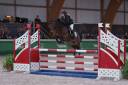 Merrie Franse rijpony PFS Te leen 2016 Donker bruin / bai ,  QUABAR DES MONCEAUX