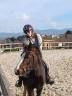 Hengst Welsh Pony (Section B) Te koop 2021 Donker bruin / bai
