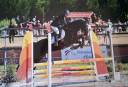 Ruin Franse rijpony PFS Te koop 2018 Zwart ,  Renoir WE