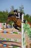 Merrie Franse rijpony PFS Te koop 2017 Donker bruin / bai