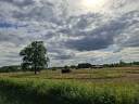 Hippisch vastgoed Koop Cher