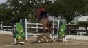 Merrie Franse rijpony PFS Te koop 2021 Vos ,  Ulk d&rsquo;ete