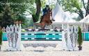 Very good show jumper