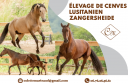 Andere - Leer contract Voltijds - Rh&ocirc;ne Frankrijk
