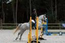 Ruin Connemara Te koop 2018 Schimmel ,  CANNON BALL BRIOVERE