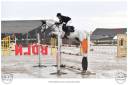 Dekhengst Franse rijpony PFS Te koop 2017 Schimmel ,  CONSUL DE LA VIE Z