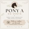Merrie Andere pony rassen Te koop 2014 Wit