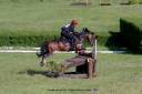 Ruin Franse rijpony PFS Te koop 2013 Bruin / Bai