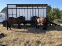 Zware paardenvrachtwagen (groot rijbewijs) Mercedes 1114 1987 Tweedehands