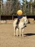 Merrie Camargue Te koop 2017 Wit