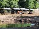 Ruiterclub Koop Vosges