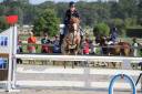 Ruin Welsh Pony (Section B) Te leen 2015 Vos roan