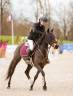 Merrie Franse rijpony PFS Te leen 2017 Zwart ,  WELCOME SYMPATICO