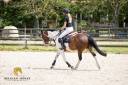 Ruin Andere pony rassen Te koop 2019 Bont