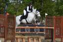 Ruin Connemara Te koop 2017 Schimmel ,  DEXTER LEAM PONDY