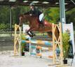 Merrie Franse rijpony PFS Te koop 2021 Donker bruin / bai ,  Syriac