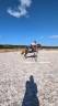 Merrie Welsh Partbred Te koop 2023 Vos