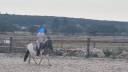 Merrie Shetland Te koop 2023 Bont