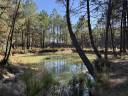 Ander plattelands vastgoed Koop Gironde
