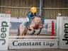Ruin Franse rijpony PFS Te koop 2009 Donker bruin / bai